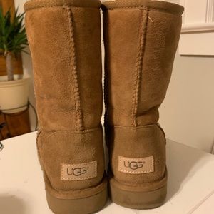 Women’s Classic Short Chestnut Uggs